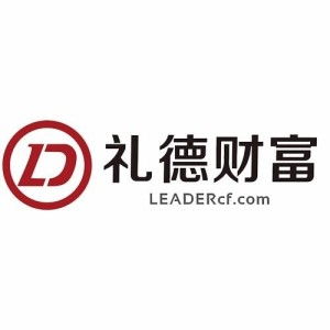 數字金融服務的政策合規展望 以廣州禮德模式為案例